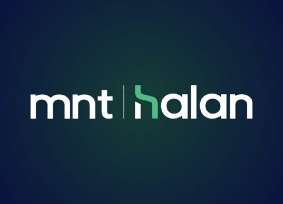 MNT-Halan IPO