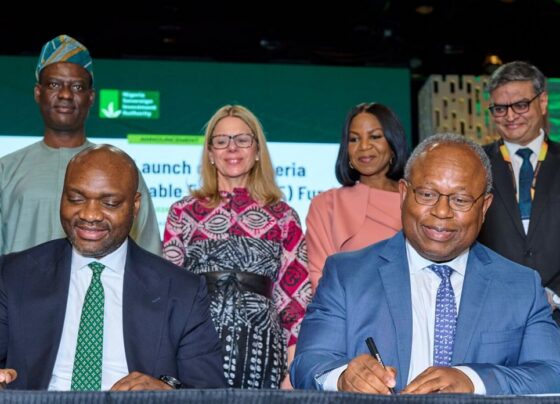 Nigeria launches $300 million fund for solar