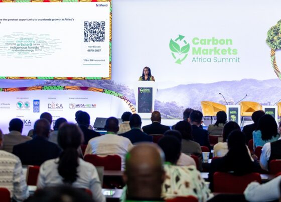 carbon markets in Africa