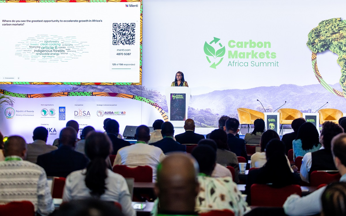 carbon markets in Africa